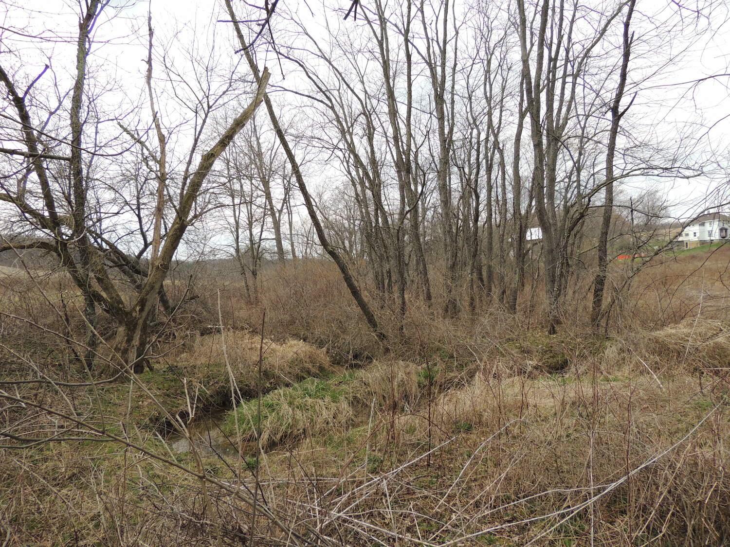 0 Sapps Run Road Howard, OH 43028 - Photo 12 of 24