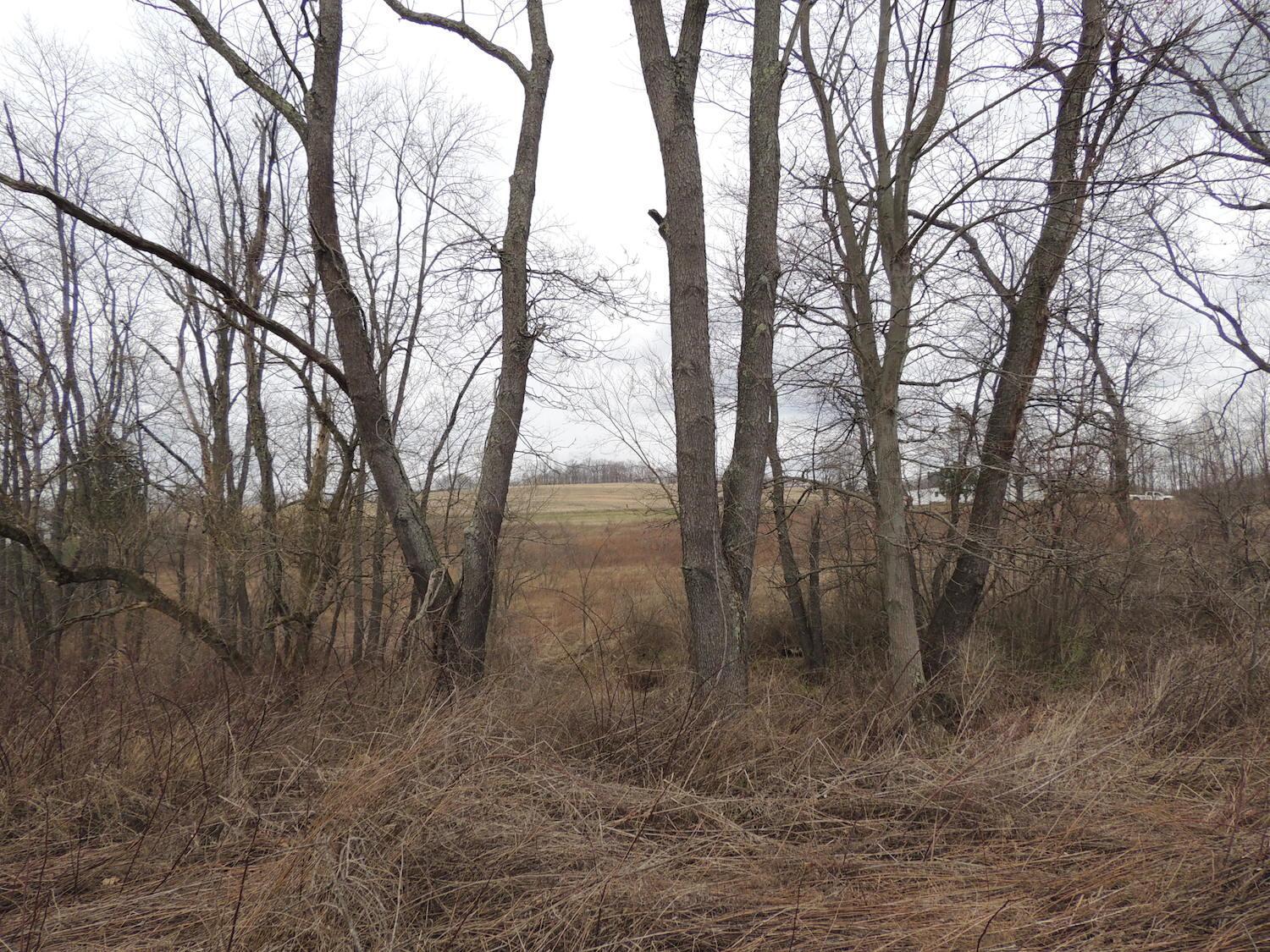 0 Sapps Run Road Howard, OH 43028 - Photo 13 of 24