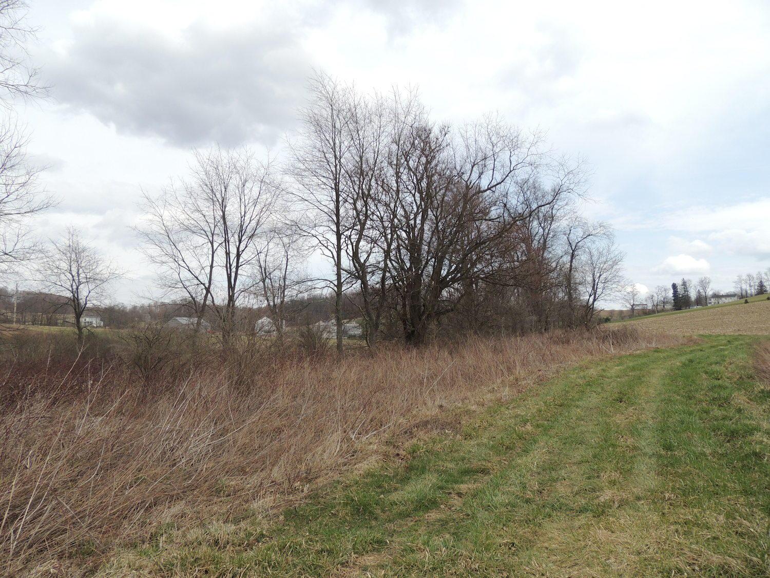 0 Sapps Run Road Howard, OH 43028 - Photo 14 of 24