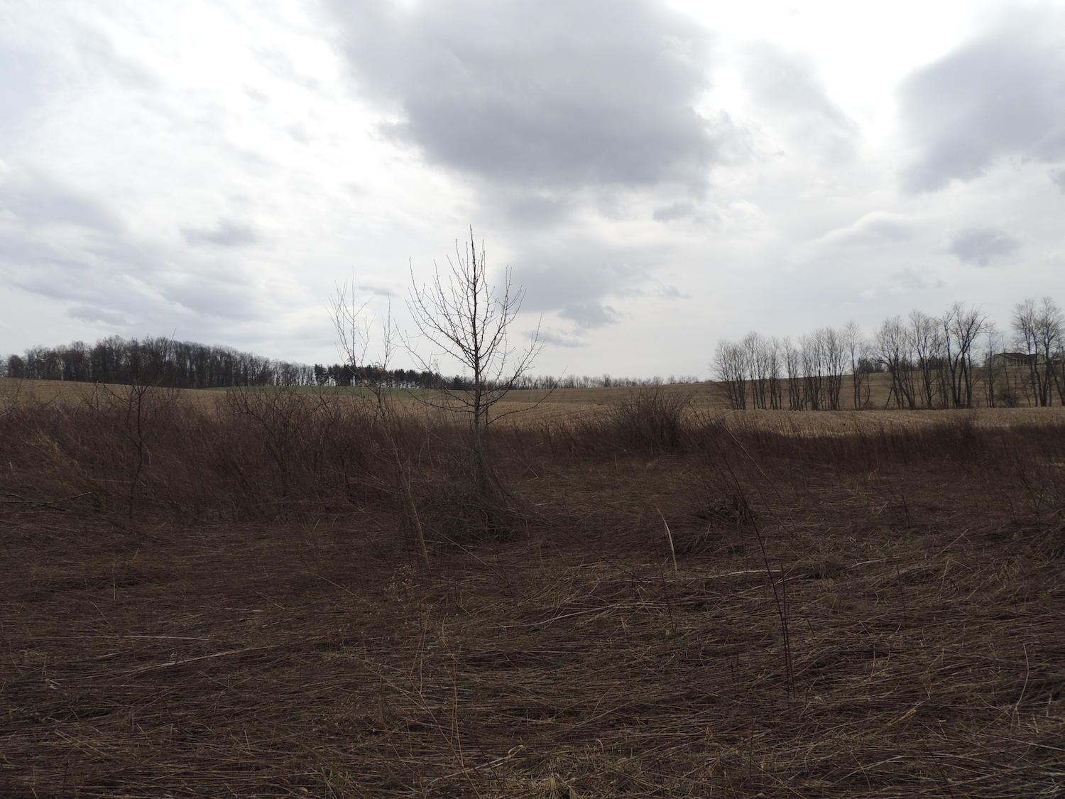 0 Sapps Run Road Howard, OH 43028 - Photo 15 of 24