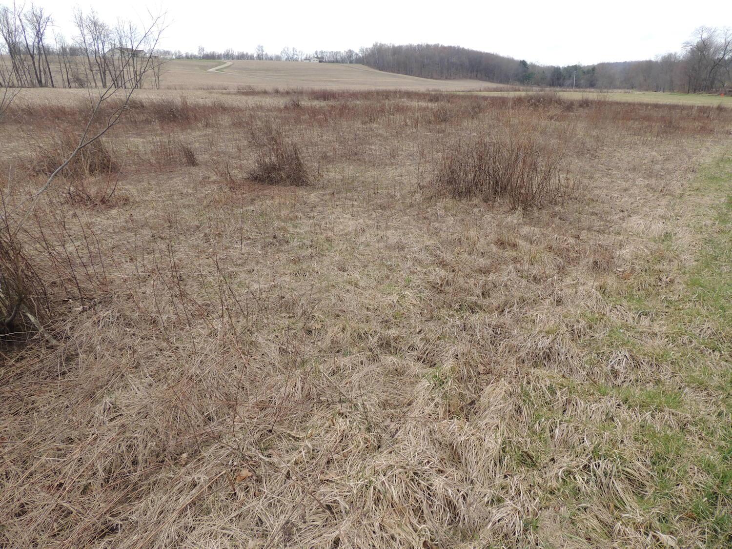 0 Sapps Run Road Howard, OH 43028 - Photo 16 of 24