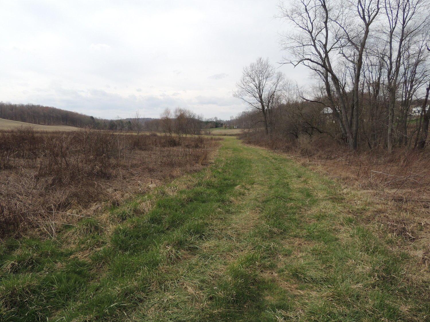 0 Sapps Run Road Howard, OH 43028 - Photo 19 of 24