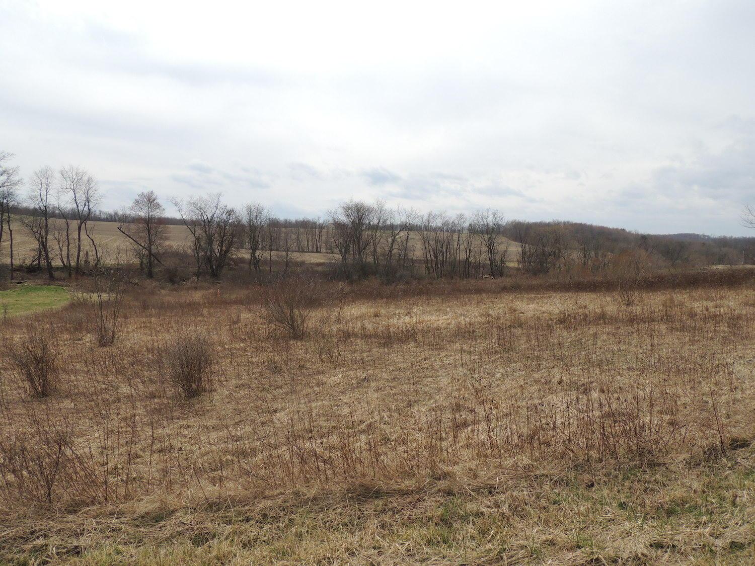 0 Sapps Run Road Howard, OH 43028 - Photo 24 of 24