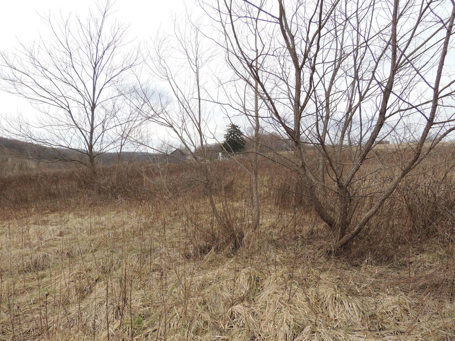 0 Sapps Run Road Howard, OH 43028 - Photo 3 of 24