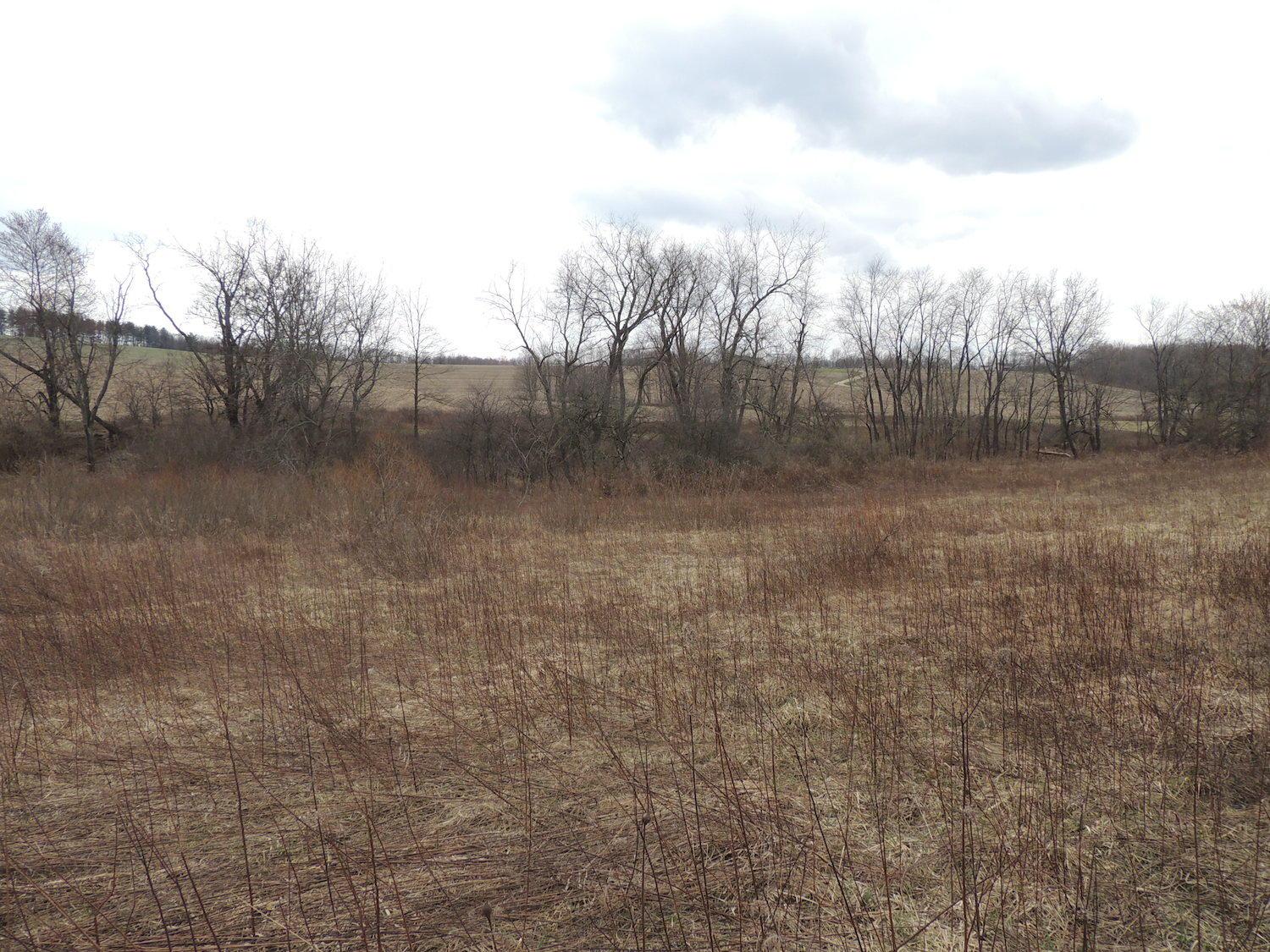 0 Sapps Run Road Howard, OH 43028 - Photo 4 of 24