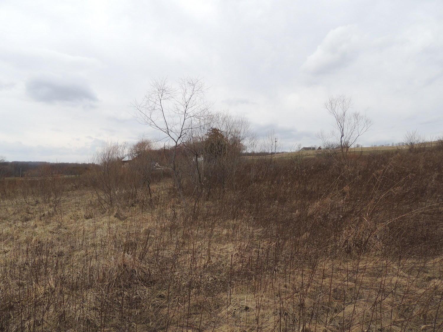 0 Sapps Run Road Howard, OH 43028 - Photo 5 of 24