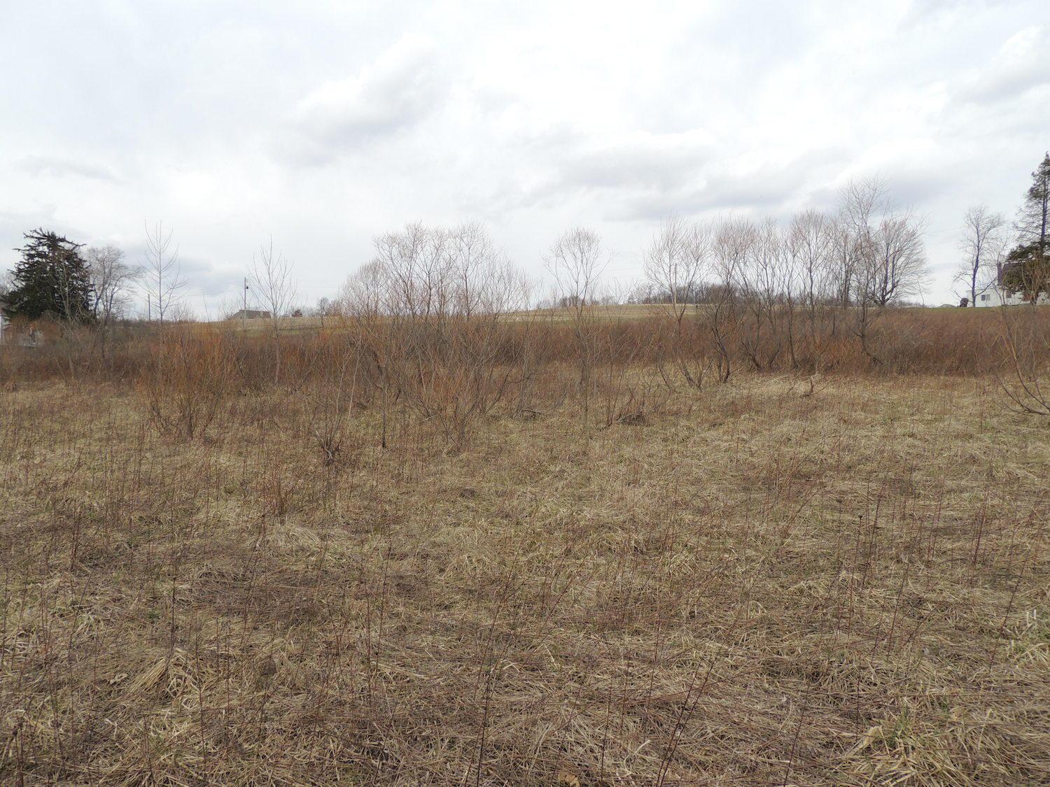 0 Sapps Run Road Howard, OH 43028 - Photo 7 of 24