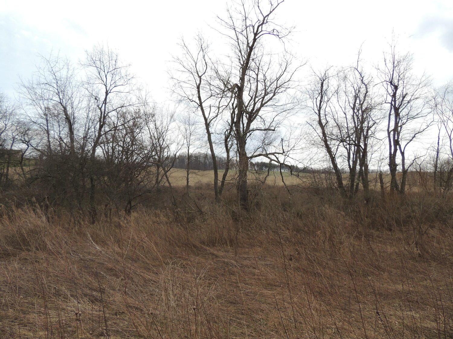 0 Sapps Run Road Howard, OH 43028 - Photo 8 of 24
