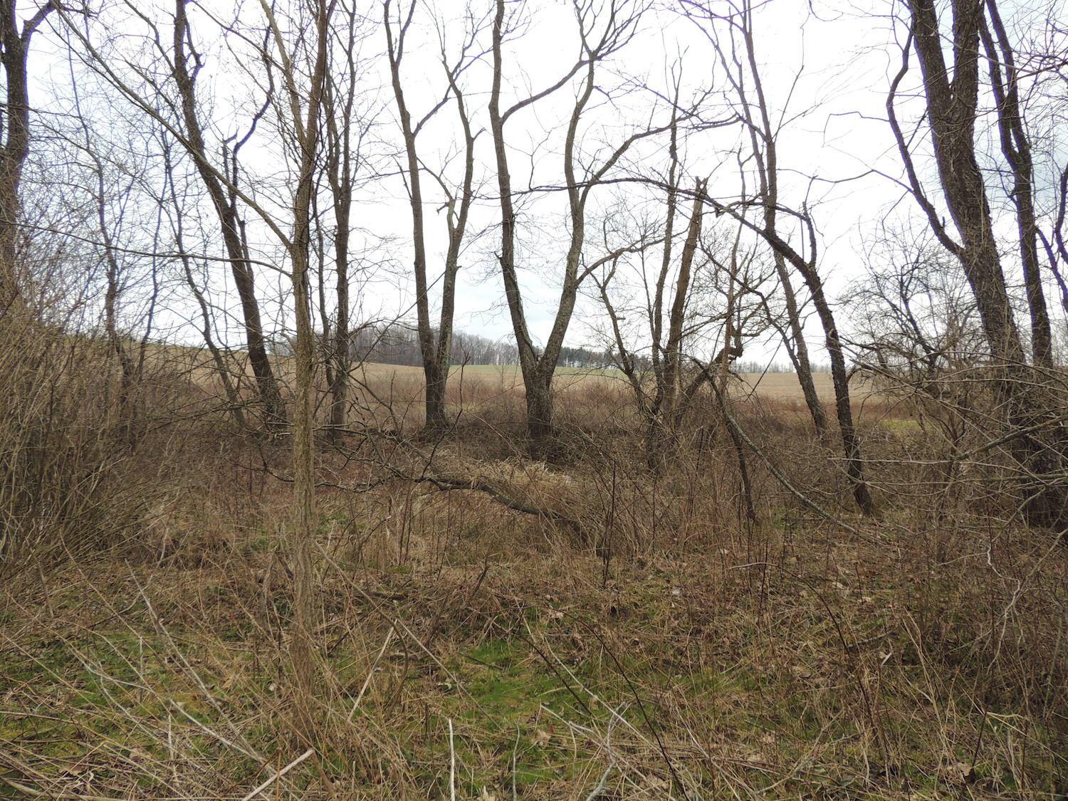 0 Sapps Run Road Howard, OH 43028 - Photo 9 of 24
