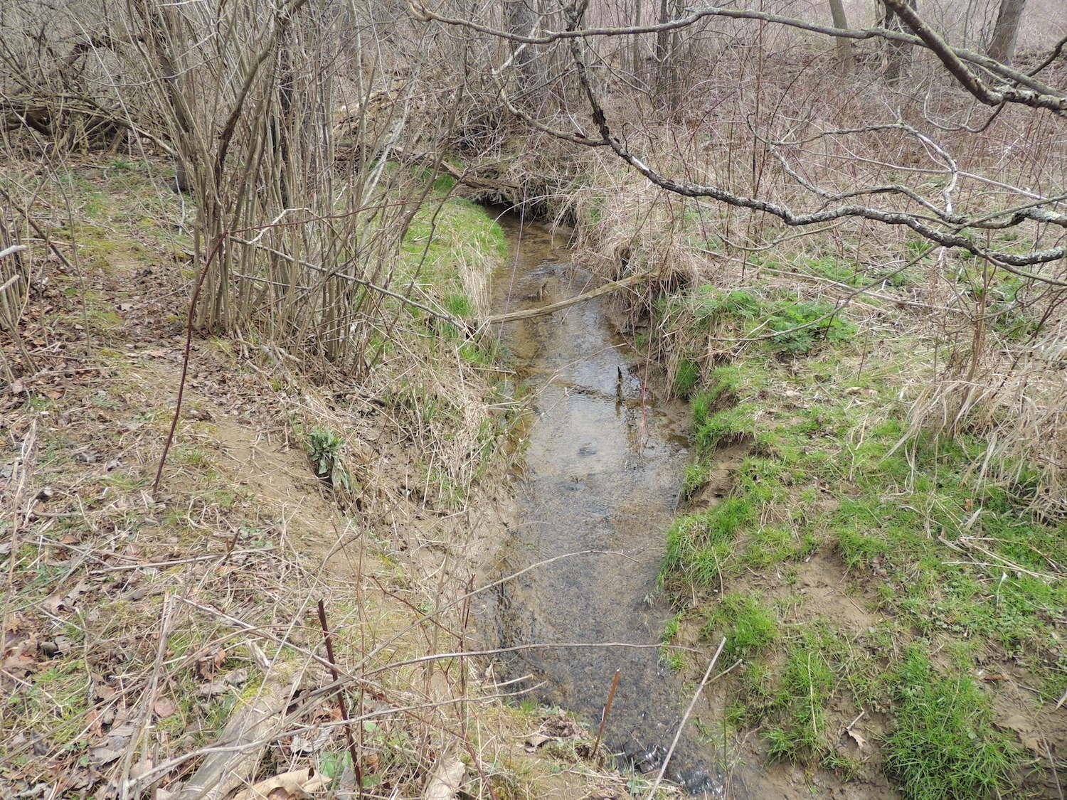 0 Sapps Run Road Howard, OH 43028 - Photo 10 of 24