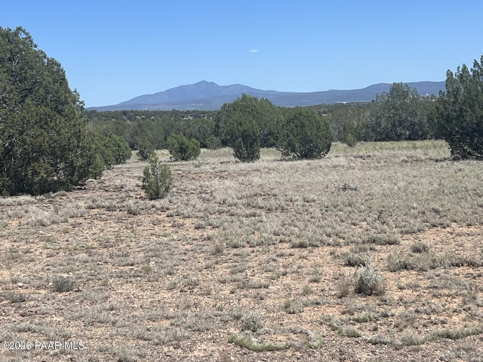 310 Un Named Road Ash Fork, AZ 86320 - Photo 7 of 7 a view of a dry yard with green space