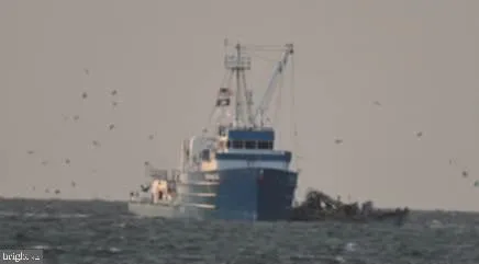 $585,000 | 151 Bald Eagle Drive, Montross, VA 22520