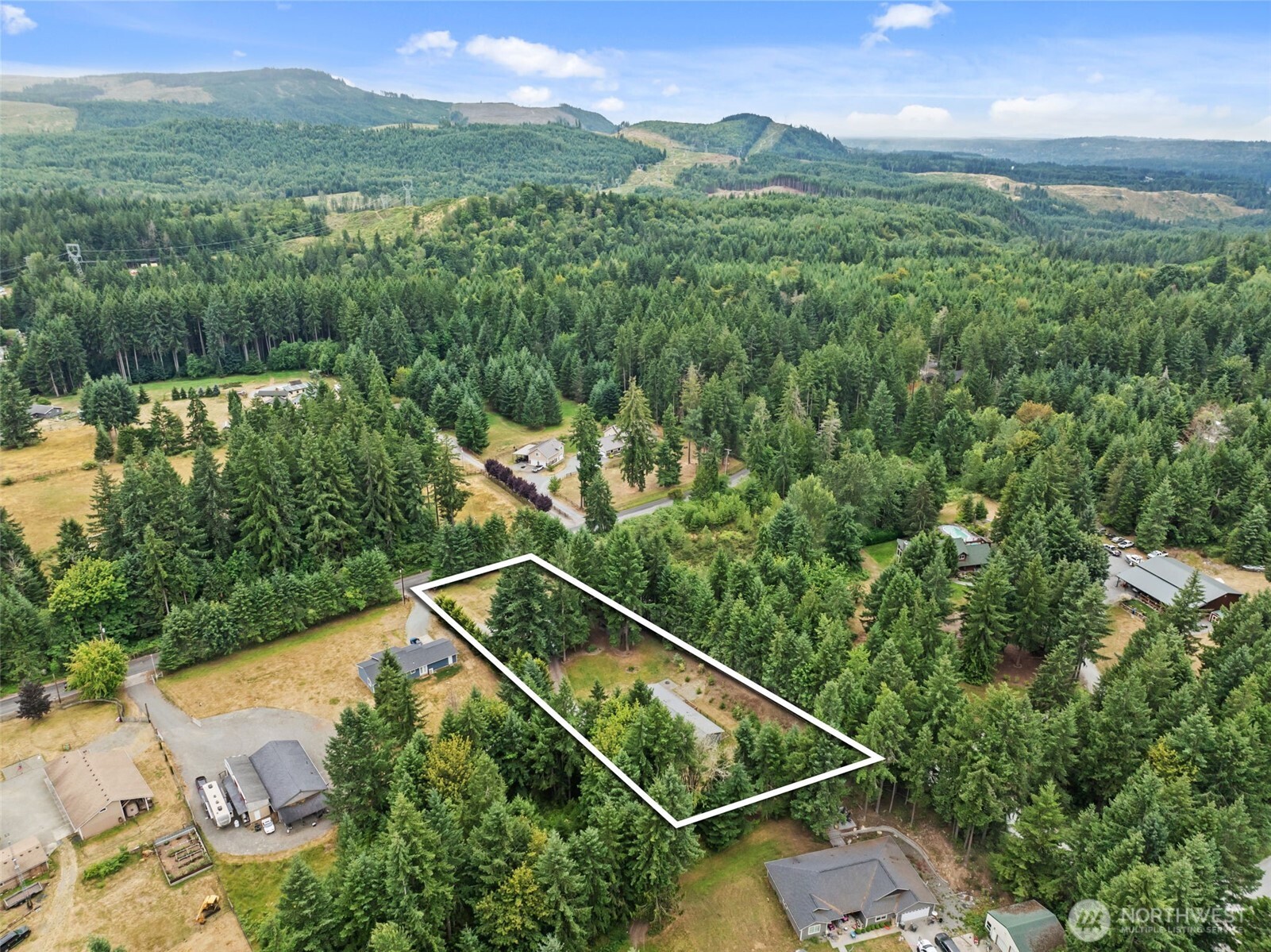 19221 Patterson Road East Orting, WA 98360 - Photo 40 of 40 a view of a lush green forest with a lake and mountain view