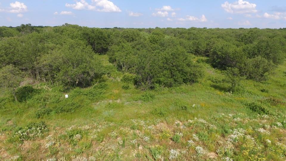 Lot 90 Paradise Oaks Perrin, TX 76486 - Photo 12 of 15 a view of outdoor space and yard