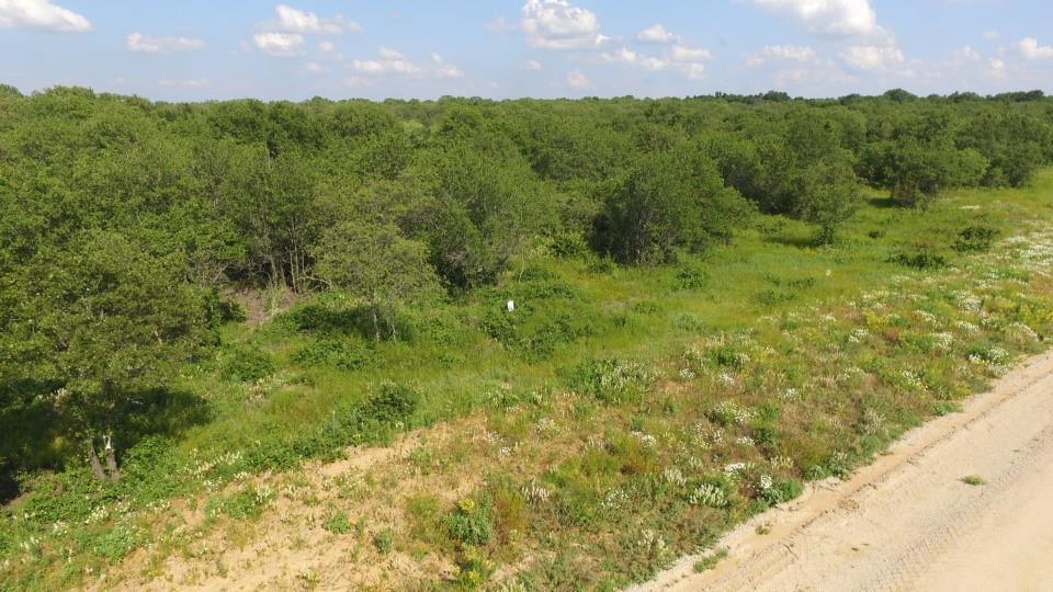 Lot 90 Paradise Oaks Perrin, TX 76486 - Photo 14 of 15 a view of outdoor space and yard