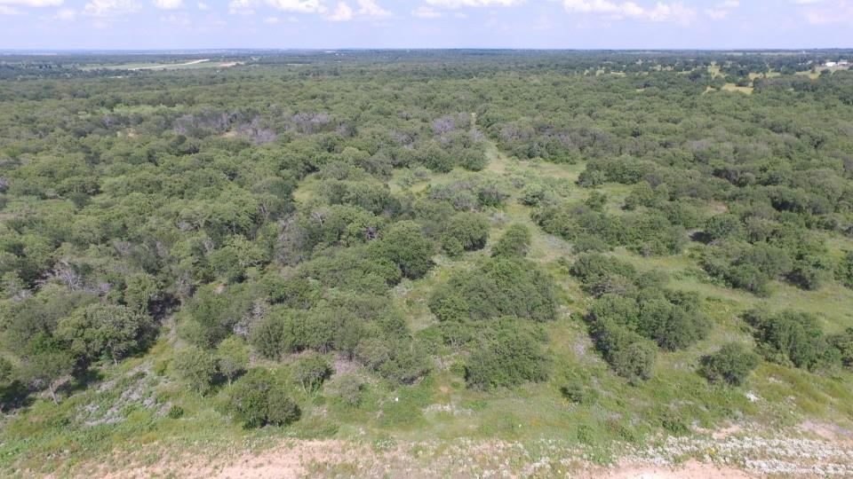 Lot 90 Paradise Oaks Perrin, TX 76486 - Photo 3 of 15 a view of a field with a mountain in the background