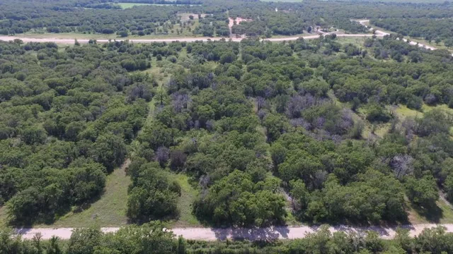 a view of a field with trees