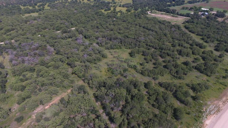 Lot 90 Paradise Oaks Perrin, TX 76486 - Photo 9 of 15 a view of a forest with a dry yard