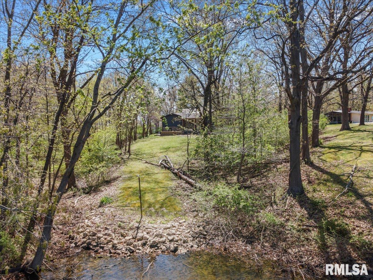 45 West Hazel Dell Lane Springfield, IL 62703 - Photo 54 of 67 Gallery Image 54