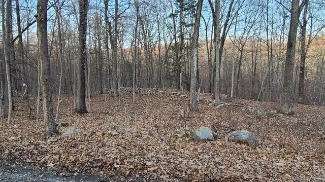 a view of backyard with green space