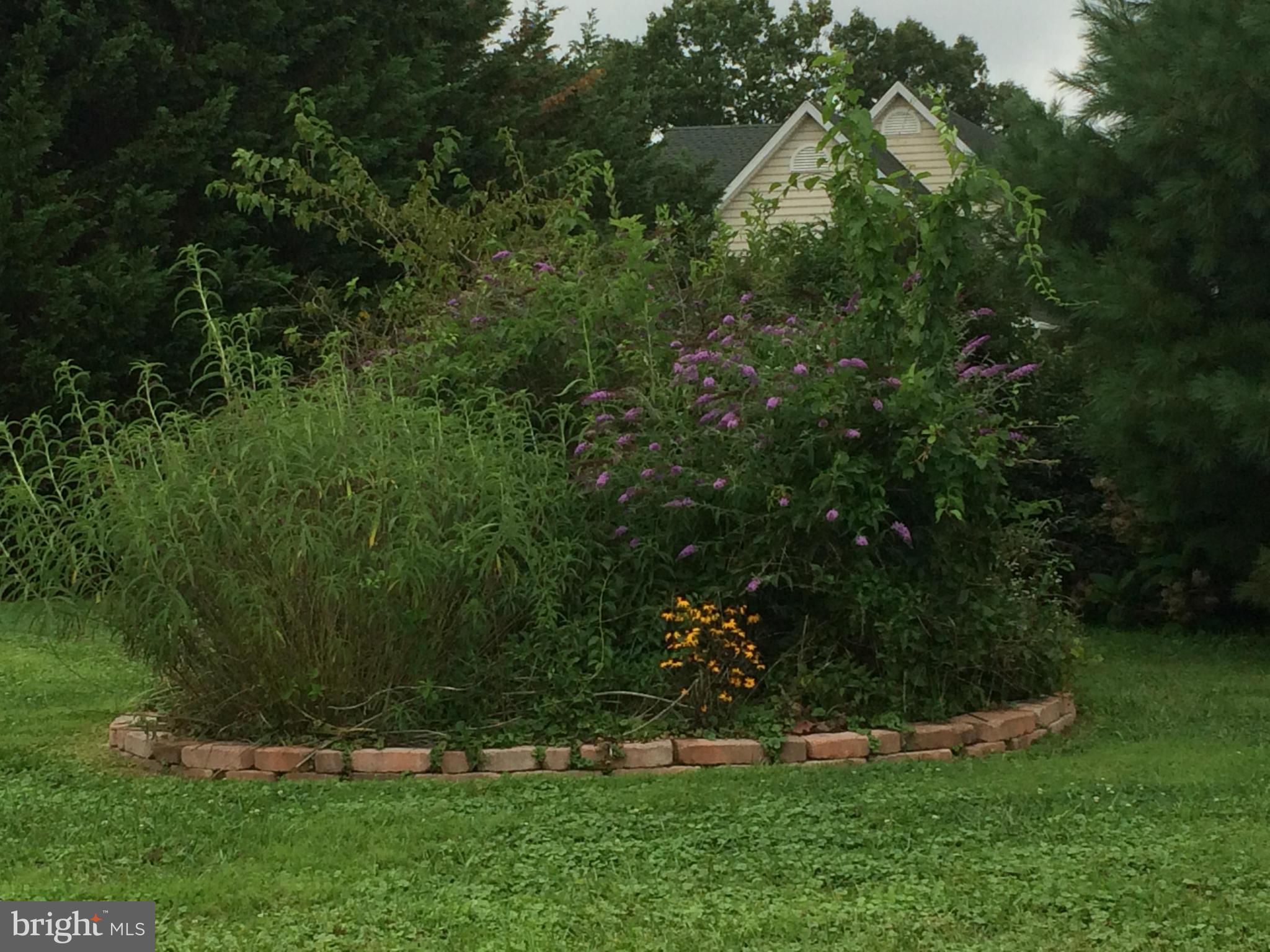 2520 Beckleysville Road Freeland, MD 21053 - Photo 5 of 5 a view of outdoor space and yard