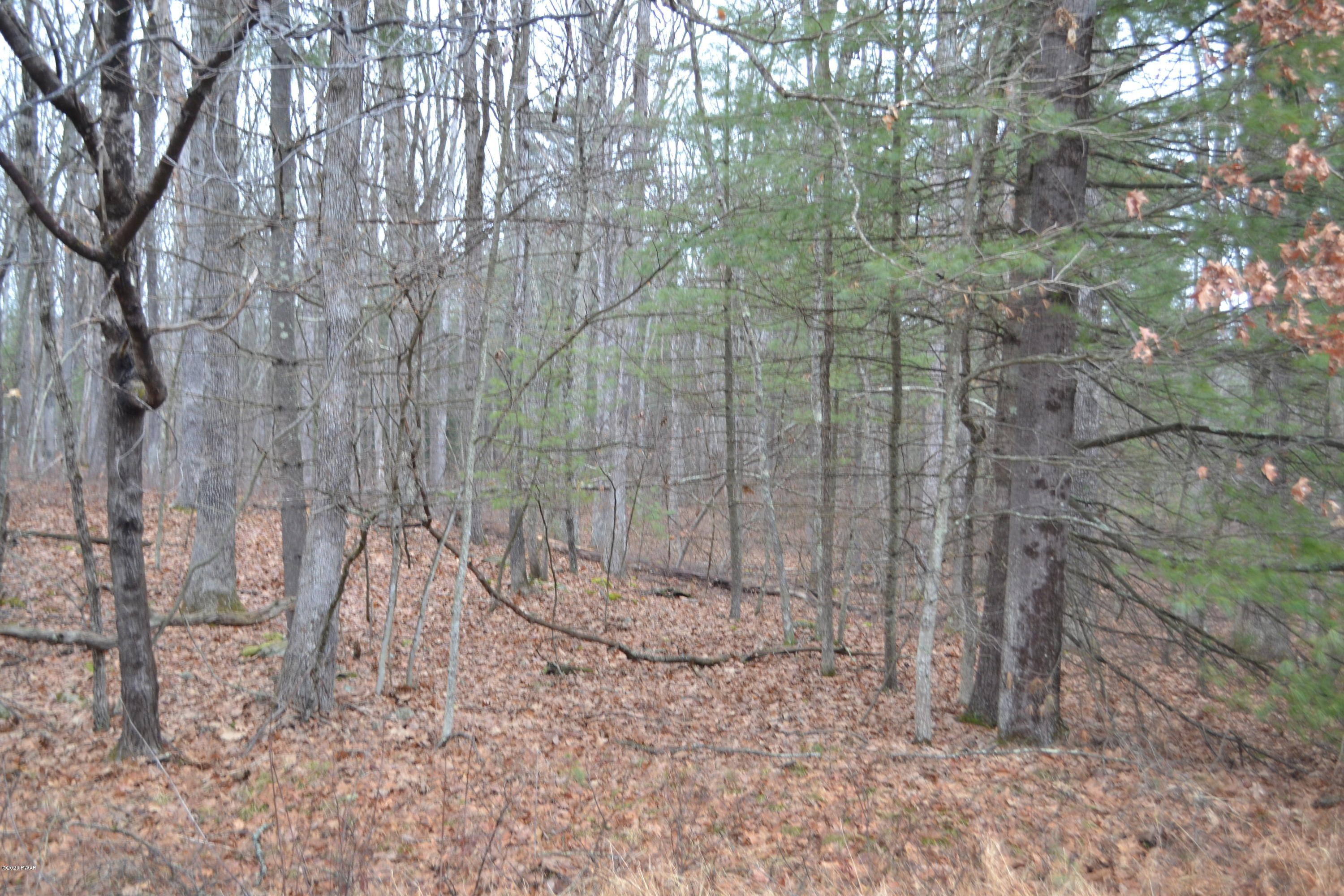 Lot 533 Timber Ridge Drive Hawley, PA 18428 - Photo 2 of 2