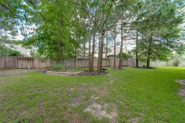a view of garden with trees
