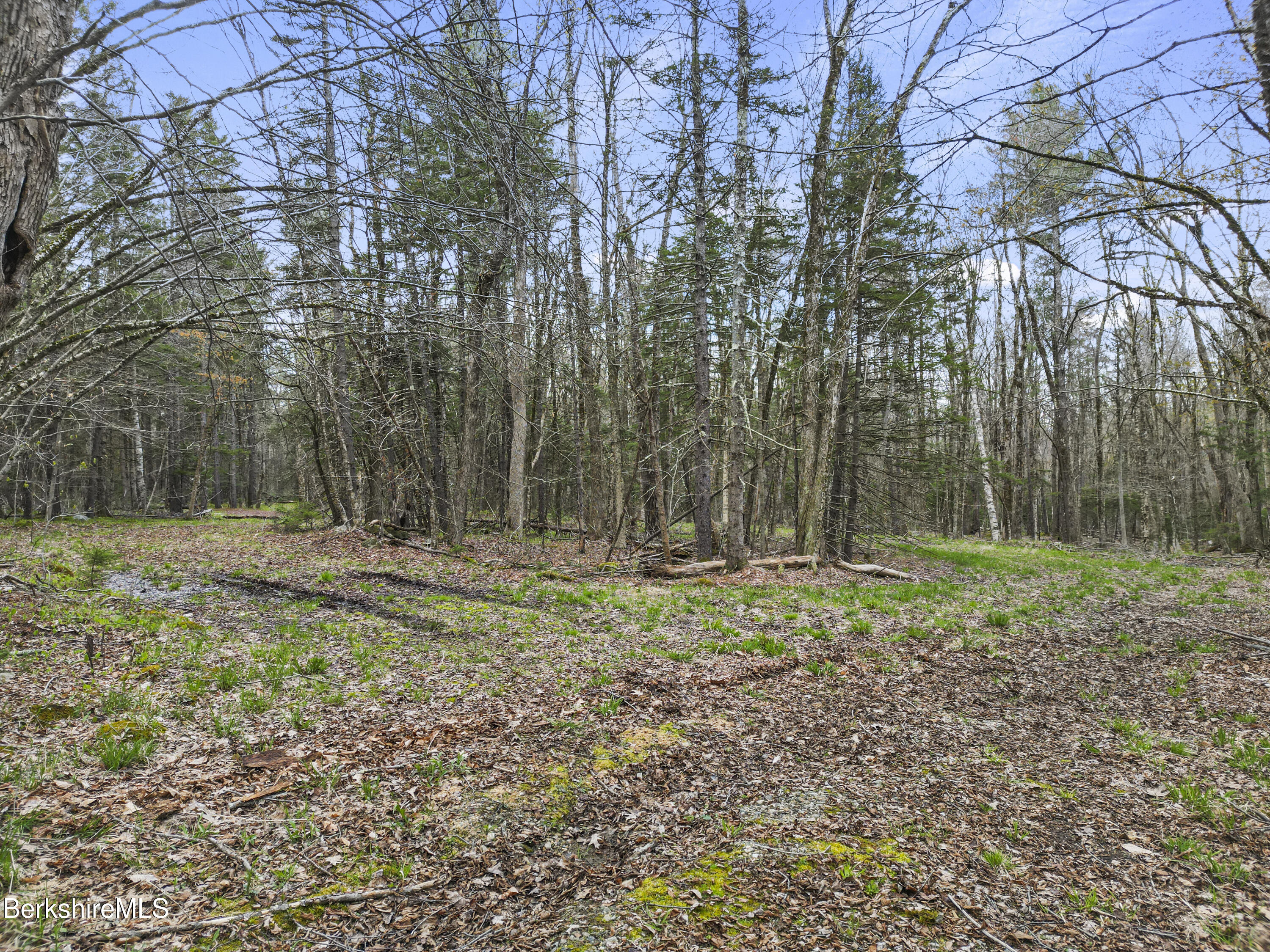 Stagecoach Road Becket, MA 01223 - Photo 4 of 11 Becket Lot