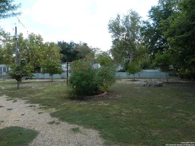 a view of a tree in the middle of a yard