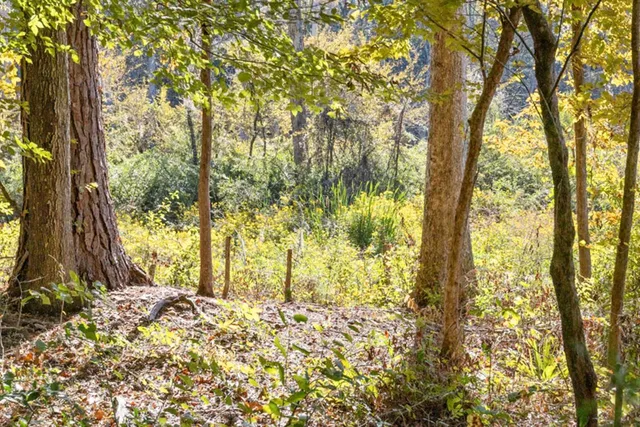 $349,000 | 521 Conrad Hills Road, Havana, FL 32333