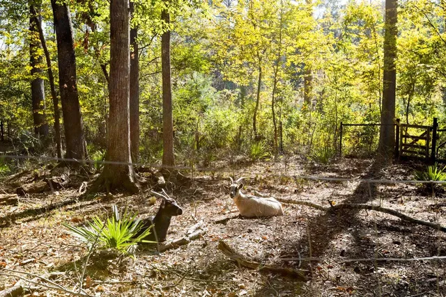 $349,000 | 521 Conrad Hills Road, Havana, FL 32333