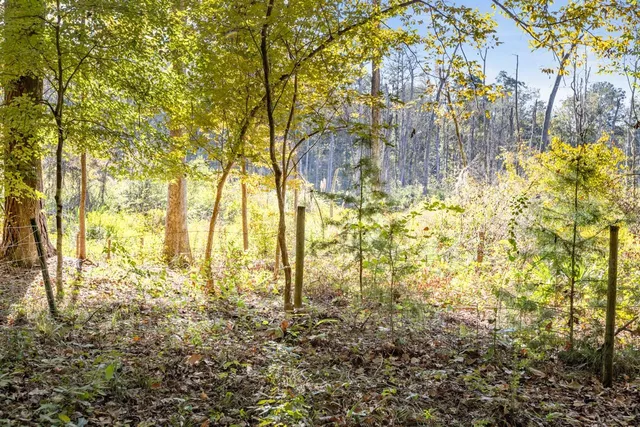 $349,000 | 521 Conrad Hills Road, Havana, FL 32333