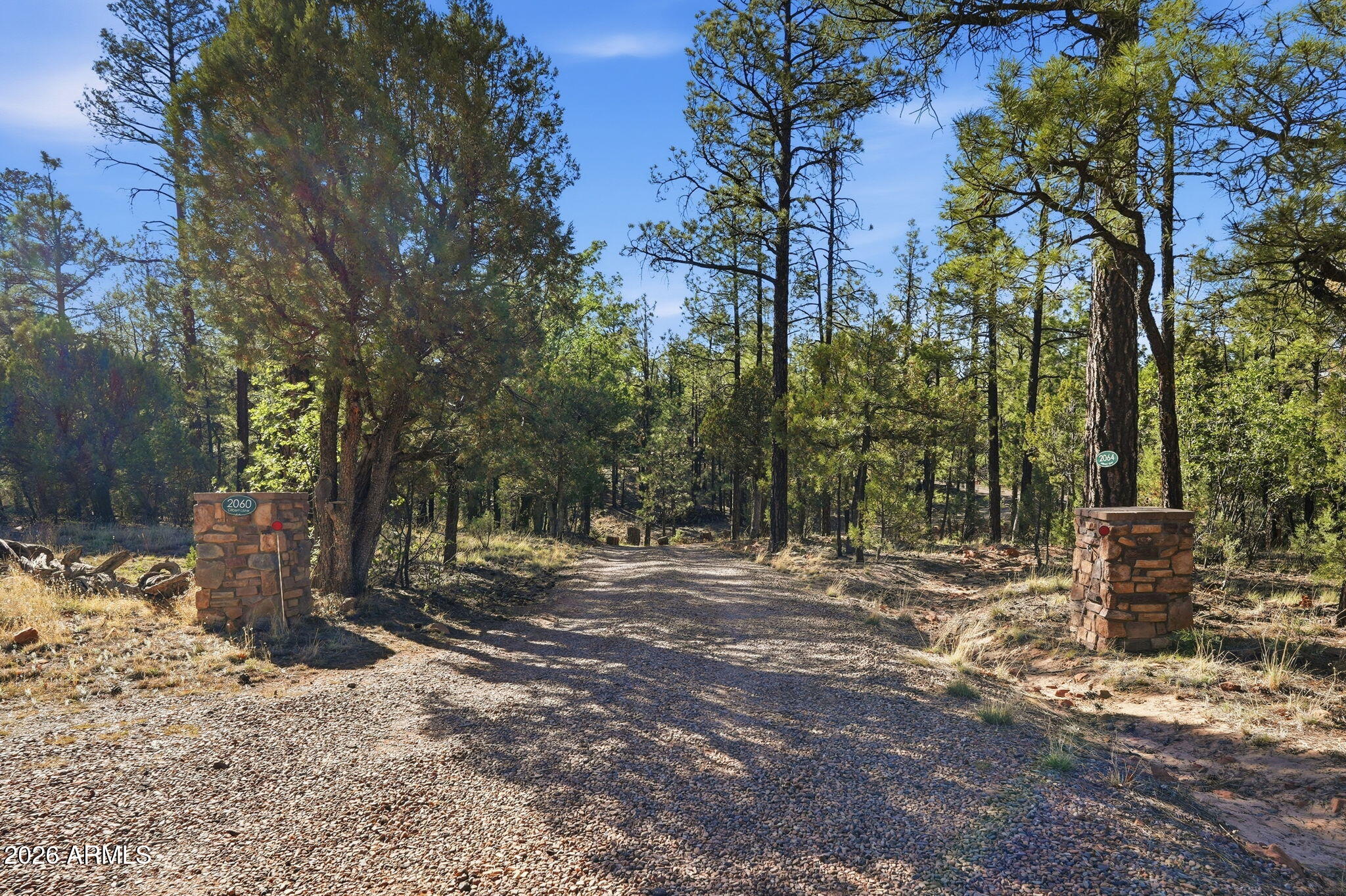 2060 Gilbert Lane Overgaard, AZ 85933 - Photo 8 of 87 a view of a backyard with large trees
