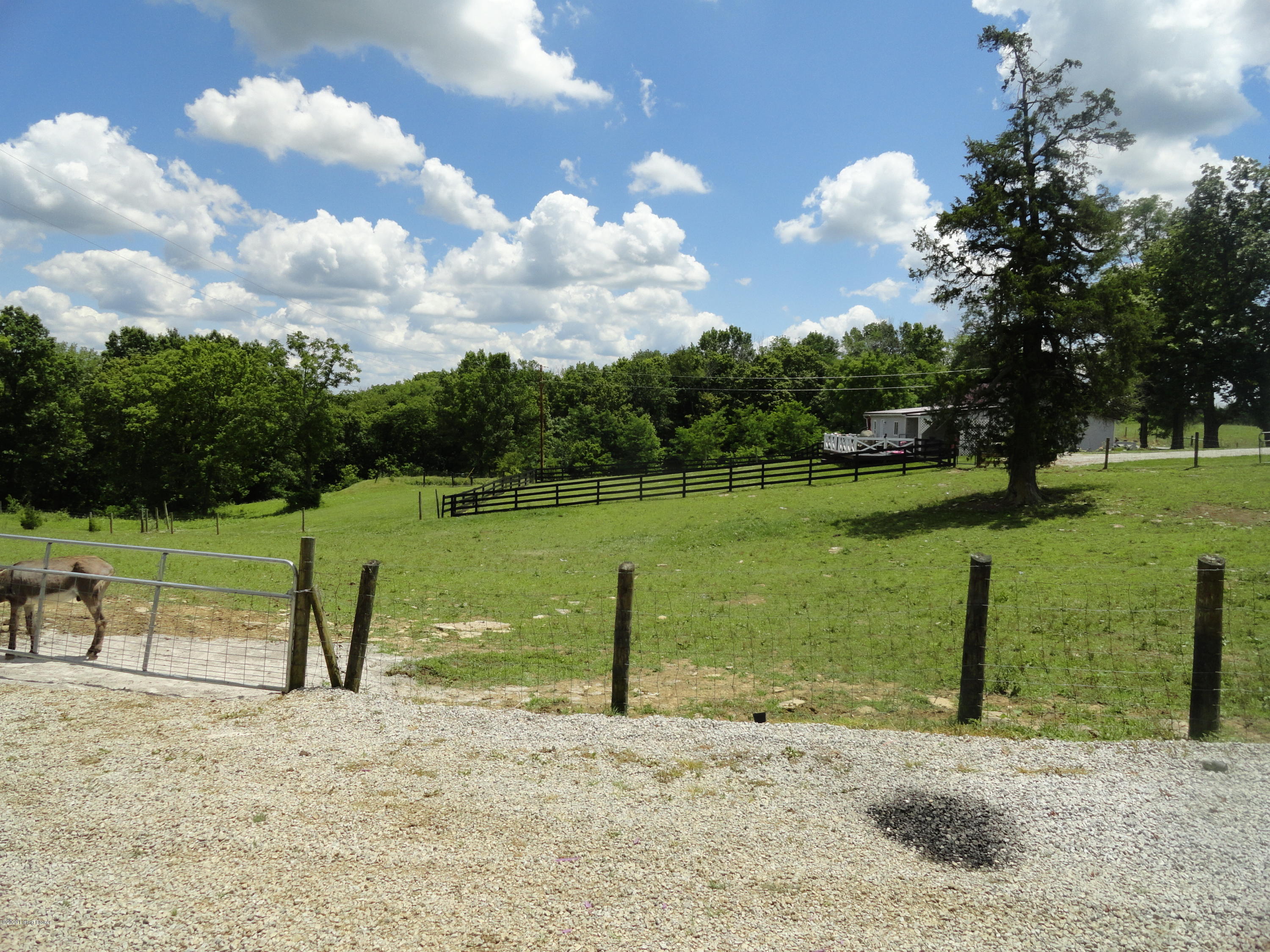 1170 Anderson City Road Lawrenceburg, KY 40342 - Photo 63 of 70 DSC03181