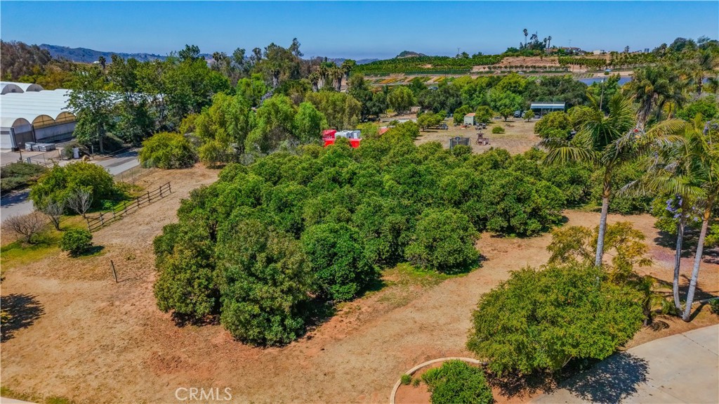 8258 Via Urner Way Bonsall, CA 92003 - Photo 41 of 49