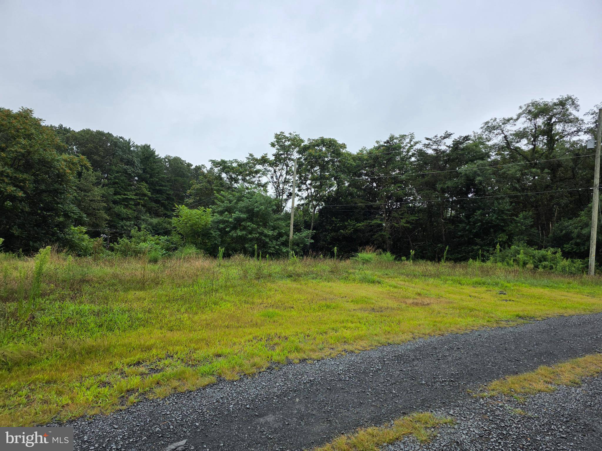 31 Red Hill Road Newport, PA 17074 - Photo 4 of 5 a view of a golf course with a trees