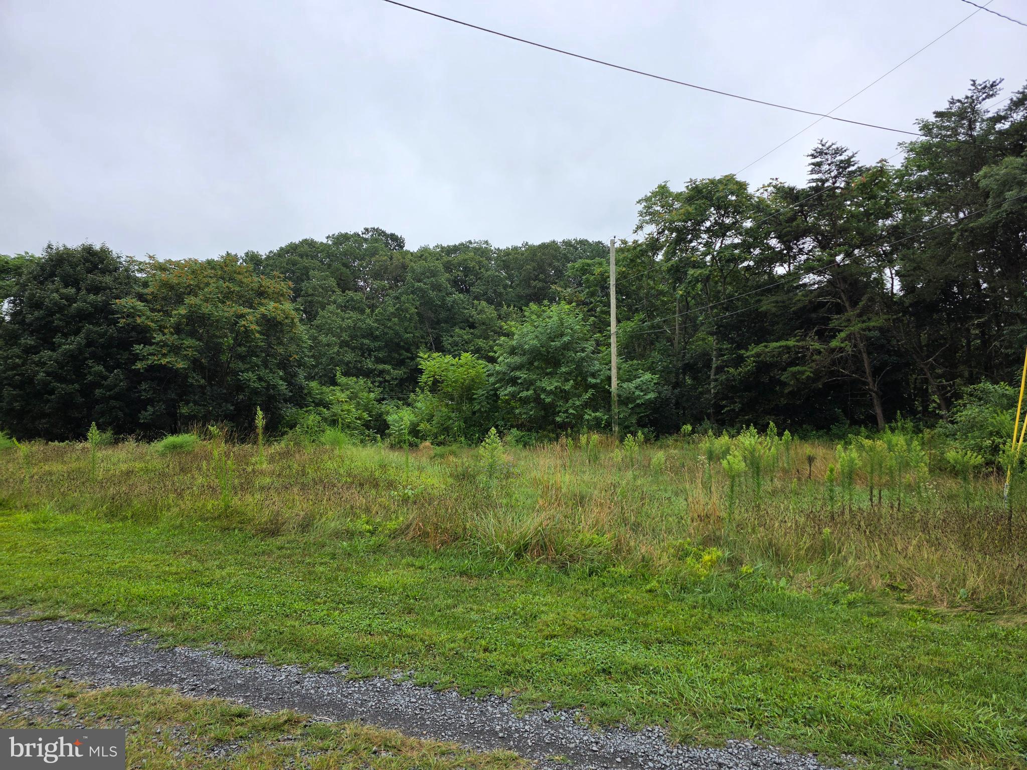 31 Red Hill Road Newport, PA 17074 - Photo 5 of 5 a view of a grassy area