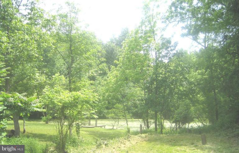 8427 Ramsburg Road Thurmont, MD 21788 - Photo 12 of 28 Pond
