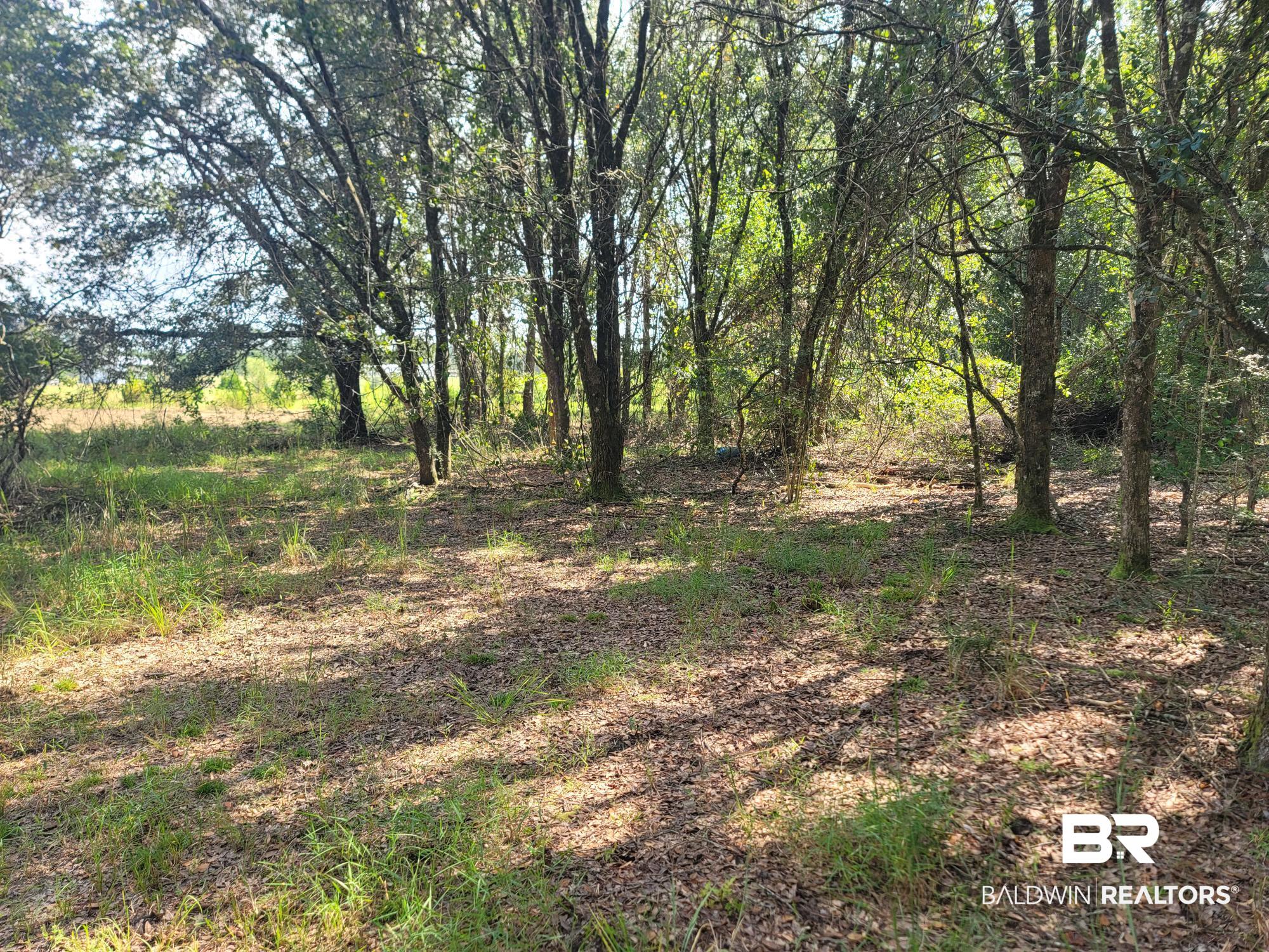 21373 Ima Brill Road Robertsdale, AL 36567 - Photo 18 of 25 Gallery Image 18