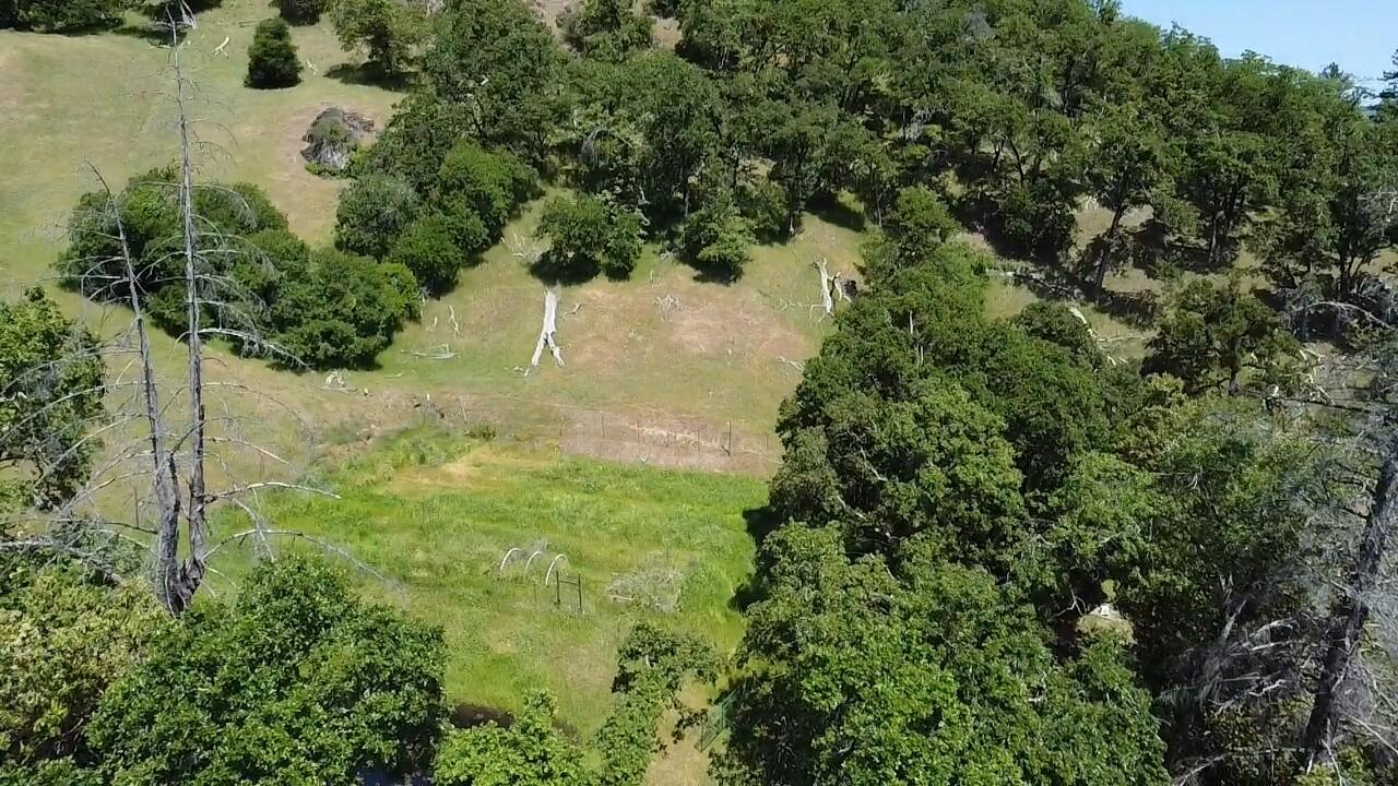 74900 Island Mountain Road Garberville, CA 95542 - Photo 11 of 37