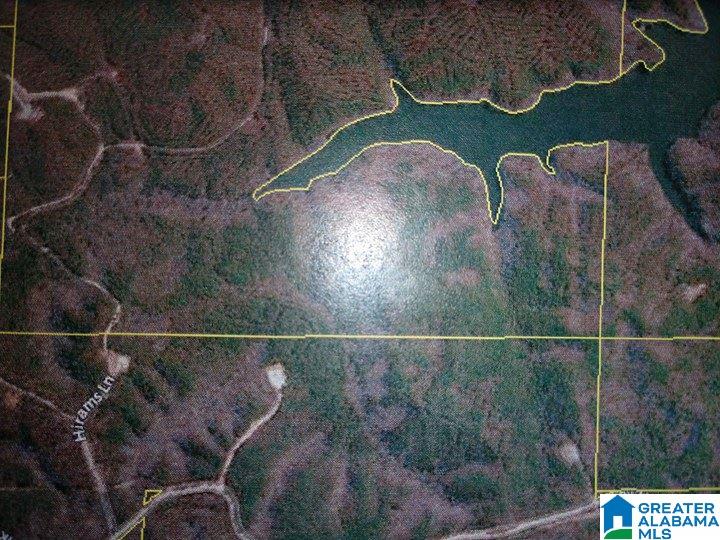 Franklin Ferry Road, Unit 17 Oakman, AL 35579 - Photo 6 of 22
