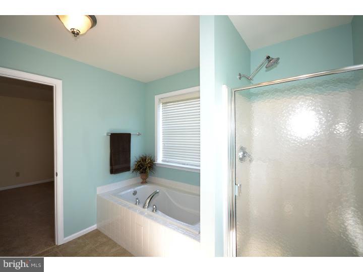 487 Buchanan Road Perkasie, PA 18944 - Photo 18 of 25 a bathroom with a tub a sink and a large mirror