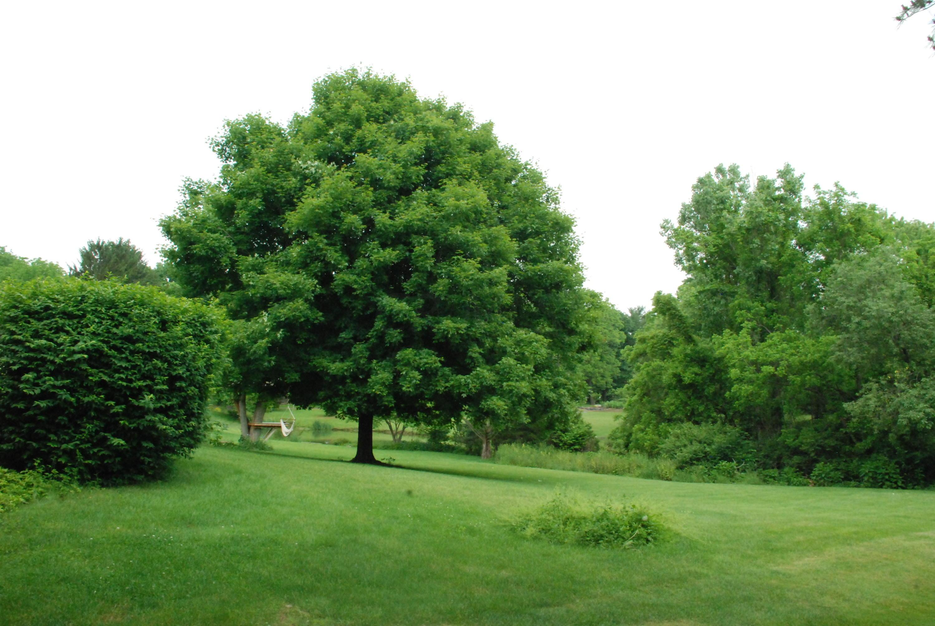 1832 Snouffer Road Columbus, OH 43235 - Photo 24 of 26 Gallery Image 24