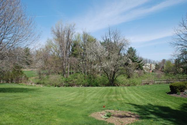 1832 Snouffer Road Columbus, OH 43235 - Photo 4 of 26 Gallery Image 4