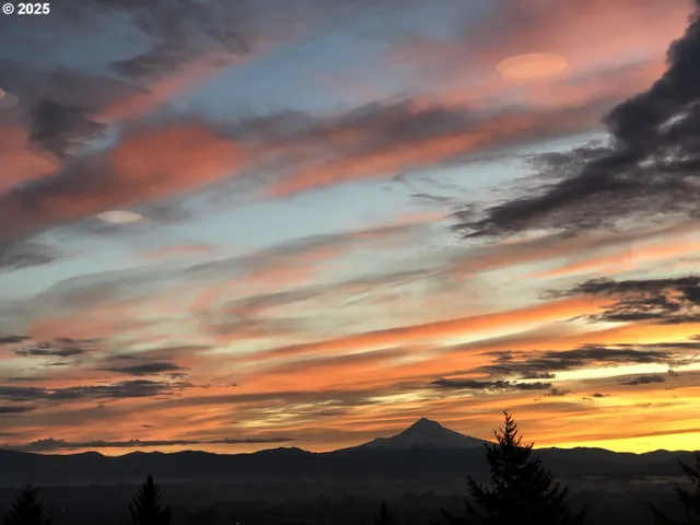 a view of city and ocean