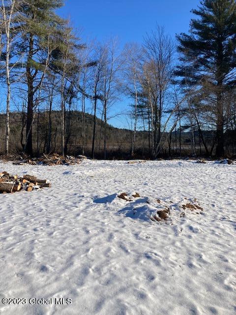 65 Burgey Road Schroon, NY 12870 - Photo 29 of 48 IMG_5776 (1)