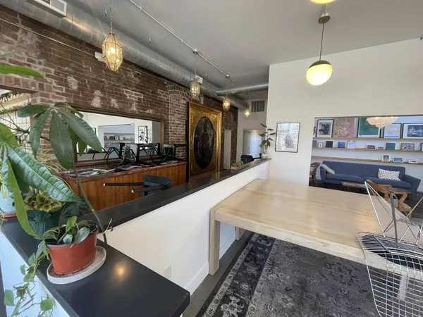a living room with furniture and a potted plant