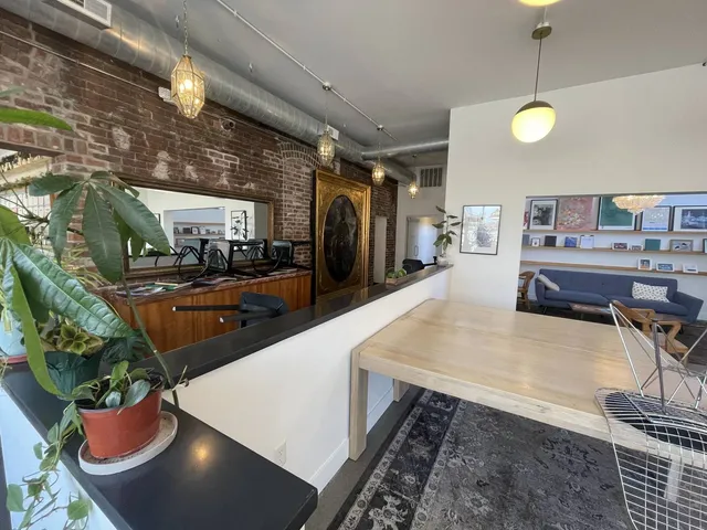 a living room with furniture and a potted plant