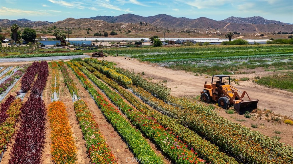 19203 Cajalco Road Perris, CA 92570 - Photo 12 of 14 a view of a street with a mountain