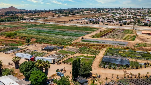 a view of a lake with a mountain